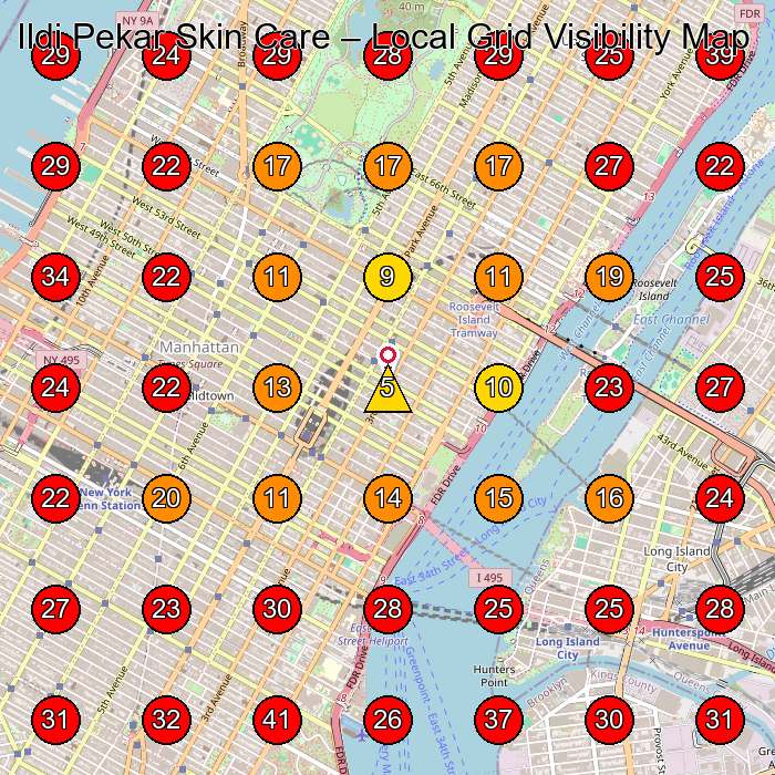 Ildi Pekar Skin Care GeoGrid visibility map for Attorney Referral Service in New York